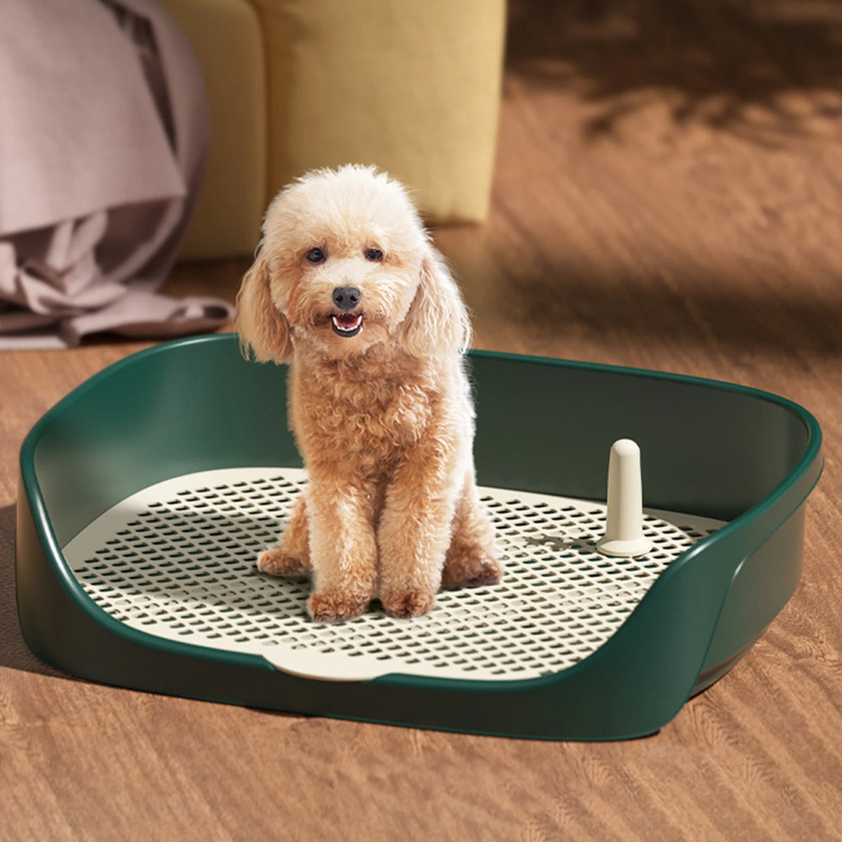 Bandeja sanitaria para perros