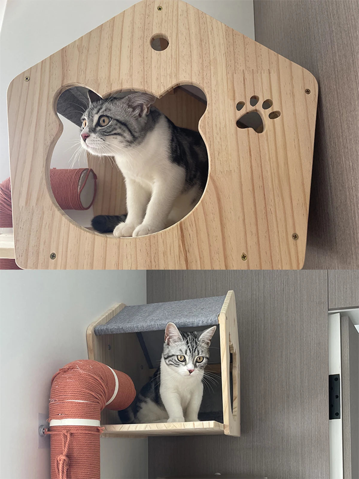 Casita y estantes de pared para gatos