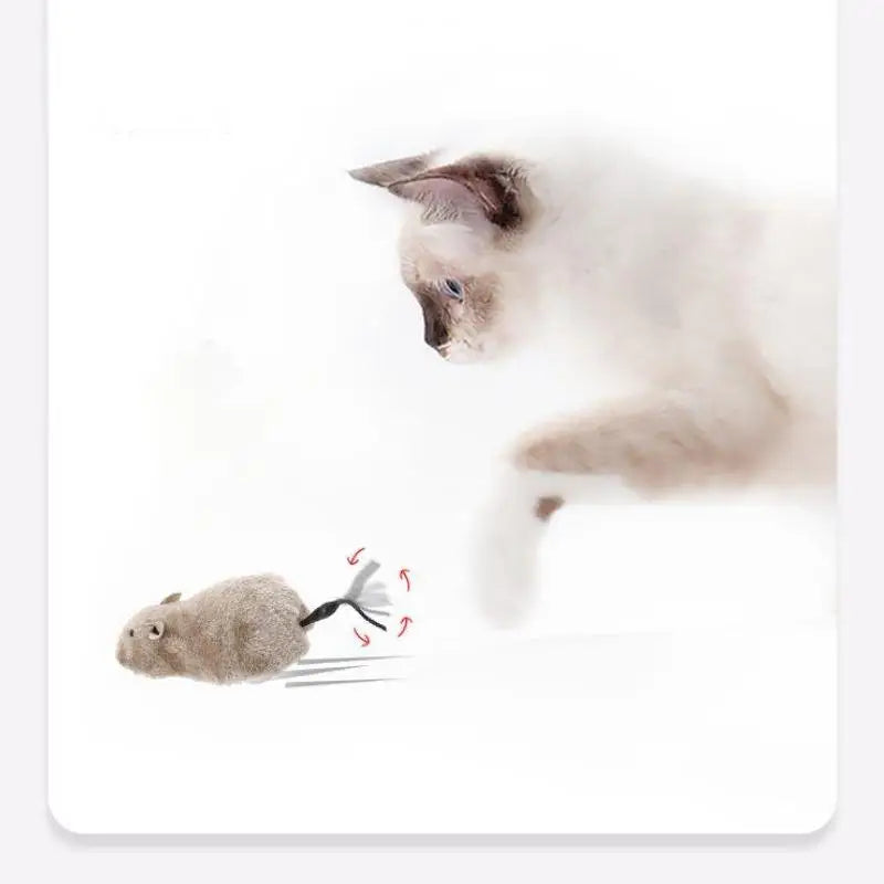 Ratón de peluche para gatos