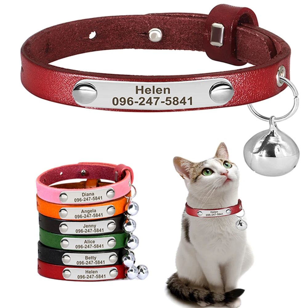 Collar de gato con nombre grabado