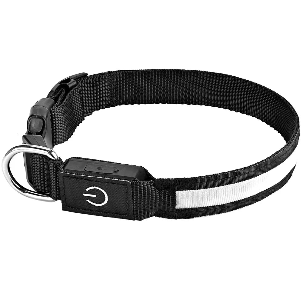 Collar LED recargable por USB