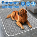 Empapador lavable y reutilizable para perros