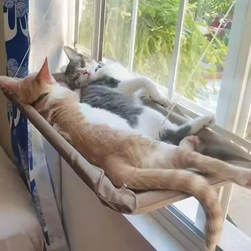 Hamaca de ventana para gatos