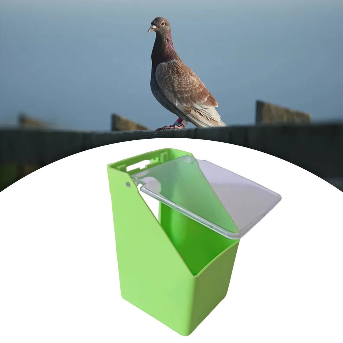 Bebedero y comedero colgante para pájaros