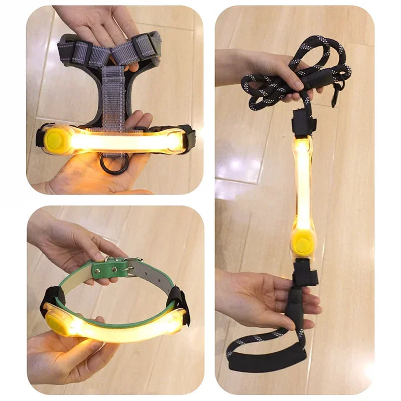Luz LED de seguridad para collar