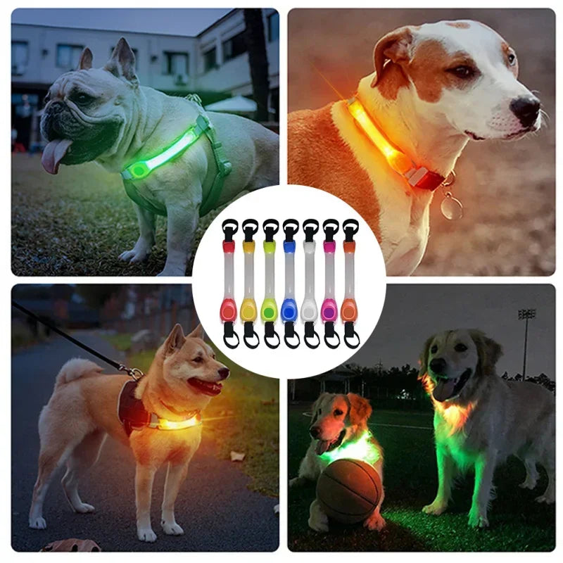Luz LED de seguridad para collar