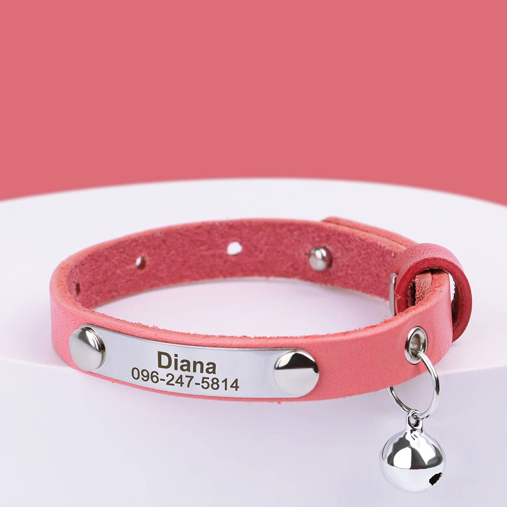 Collar de gato con nombre grabado
