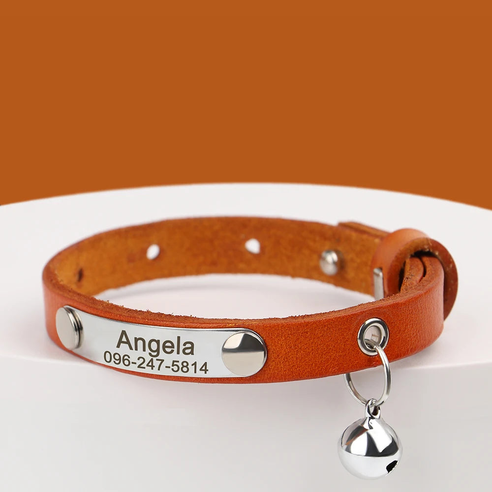 Collar de gato con nombre grabado