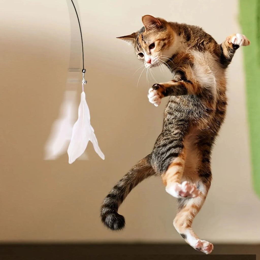 Caña con plumas y ventosa para gatos