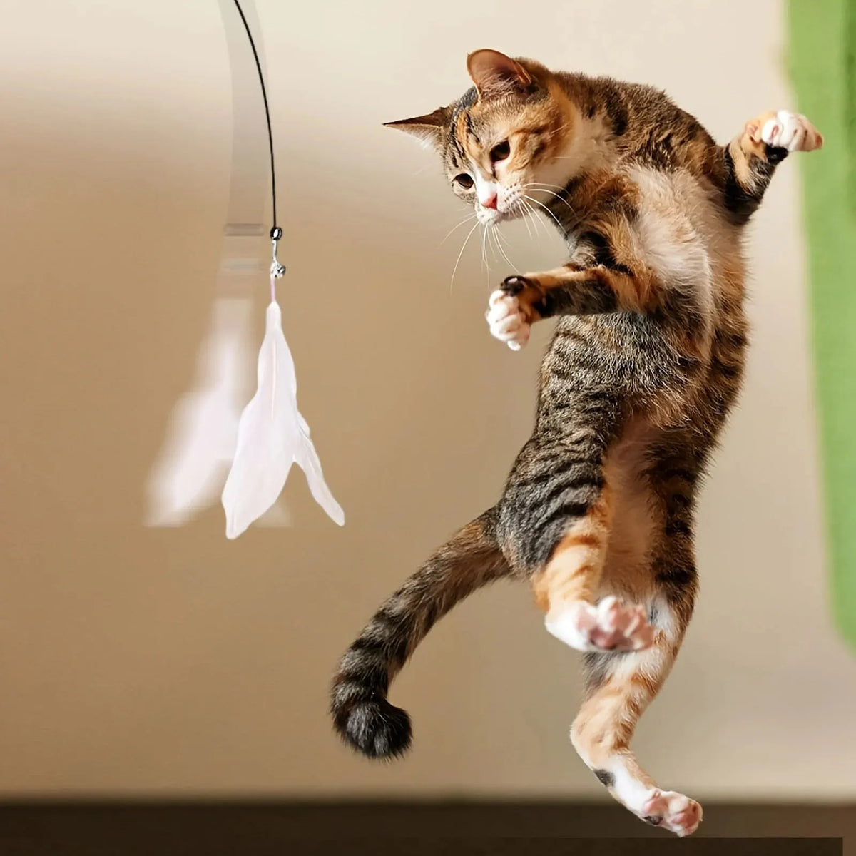 Caña con plumas y ventosa para gatos