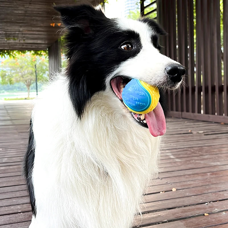Pelota mordedora con sonido