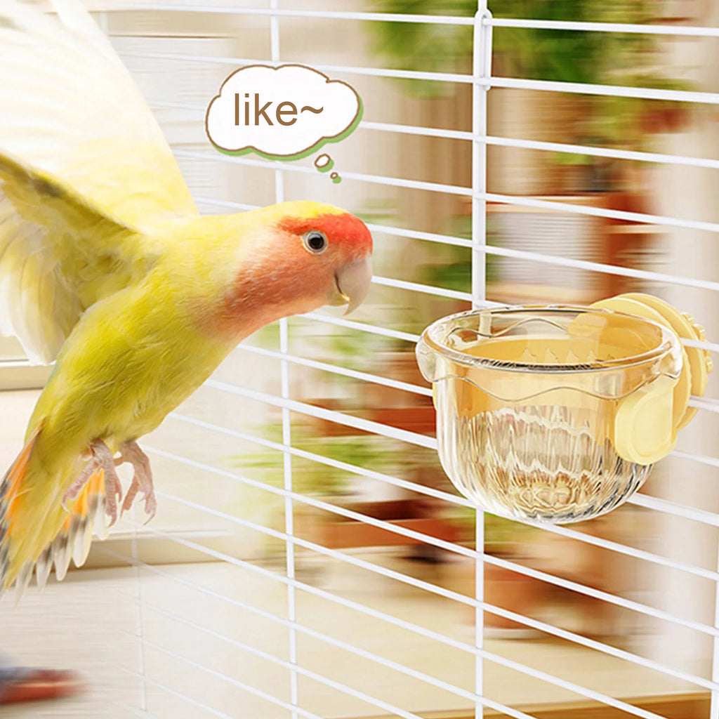 Comedero antisalpicaduras para pájaros