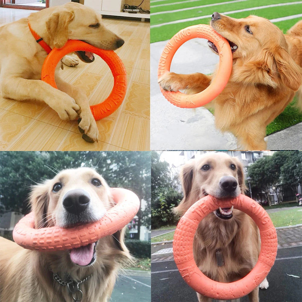 Anillo flotante de EVA para perros