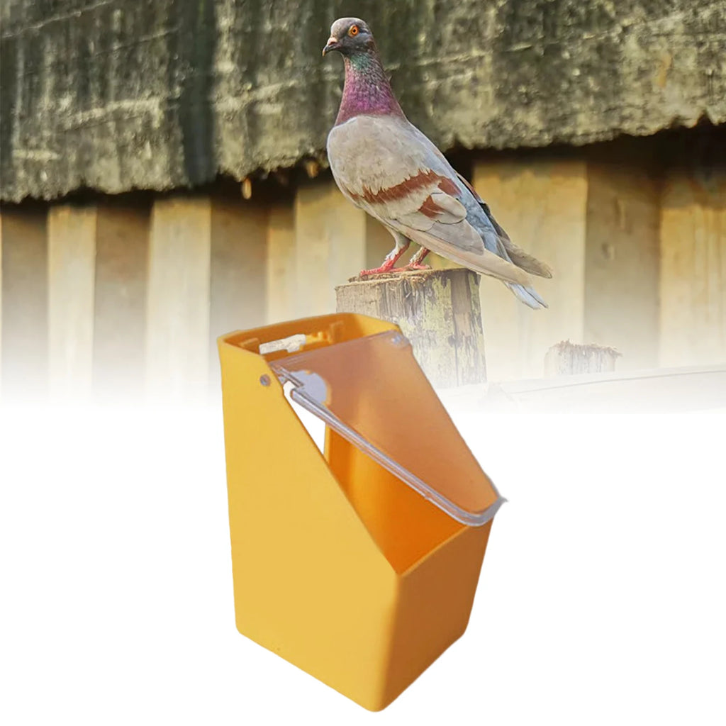 Bebedero y comedero colgante para pájaros