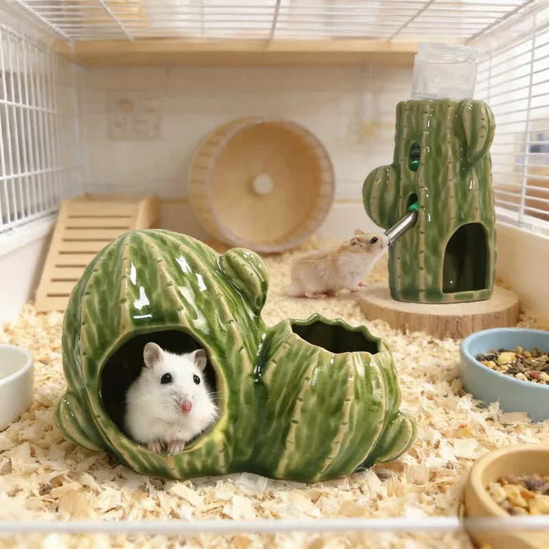 Casita cactus de cerámica y accesorios
