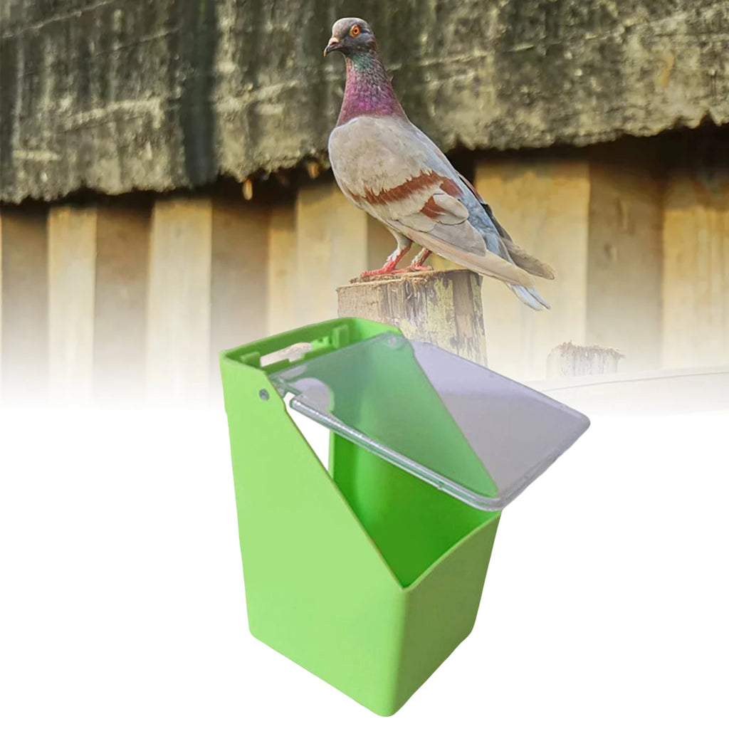 Bebedero y comedero colgante para pájaros