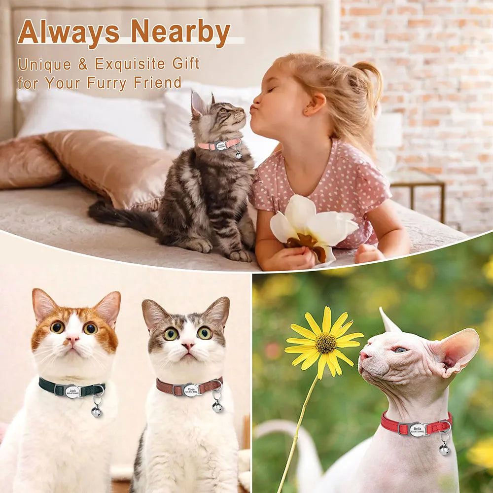 Collar de gato personalizado con nombre