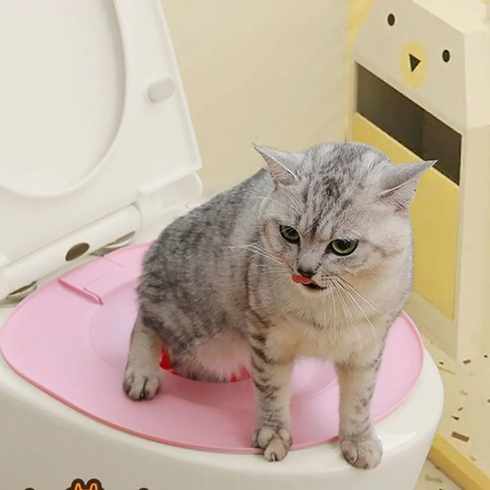 Kit para enseñar a tu gato a usar el váter