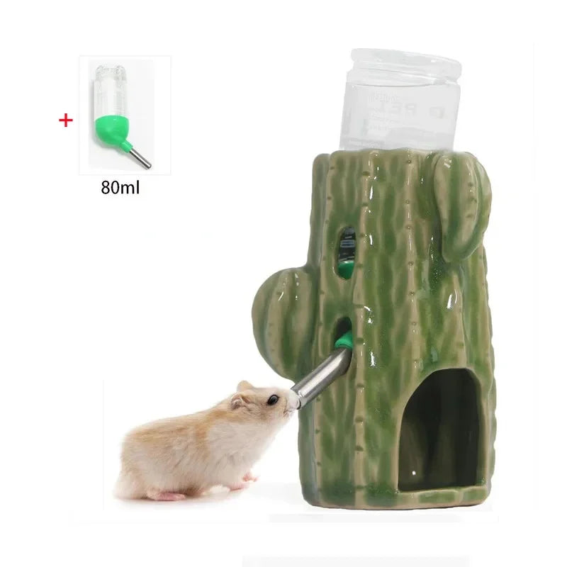 Casita cactus de cerámica y accesorios