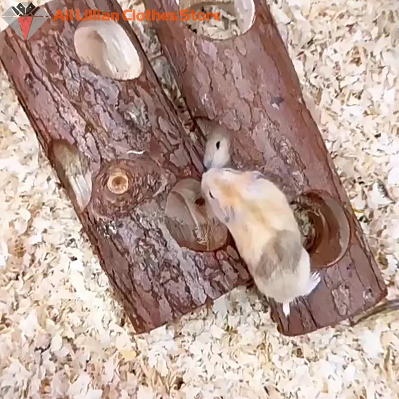 Túnel tronco de madera natural