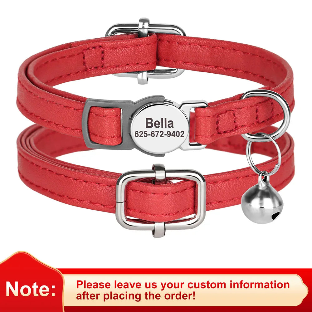 Collar de gato personalizado con nombre
