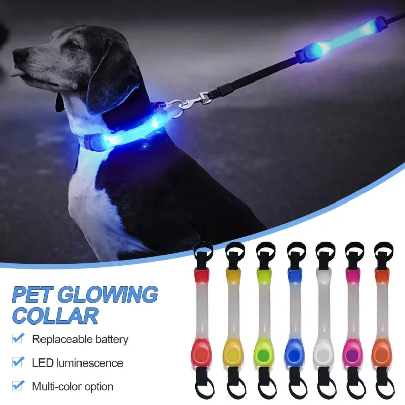 Luz LED de seguridad para collar