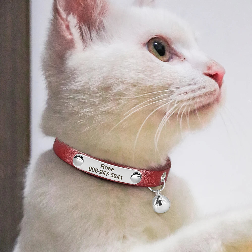Collar de gato con nombre grabado