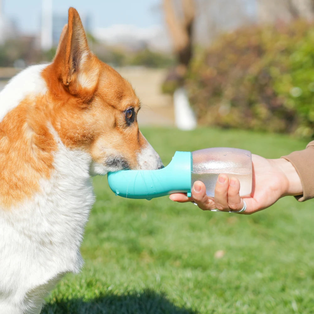 Botella de agua portátil 300 ml para perros