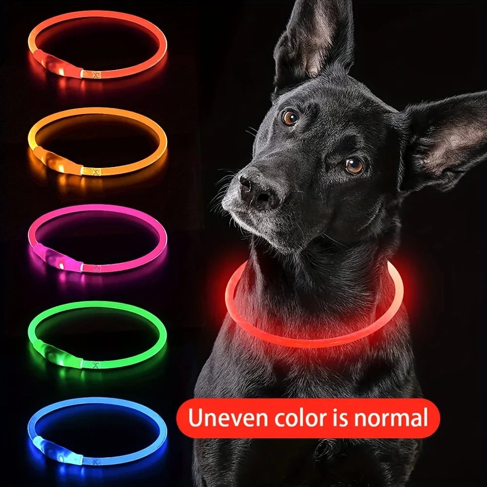 Collar luminoso LED recargable