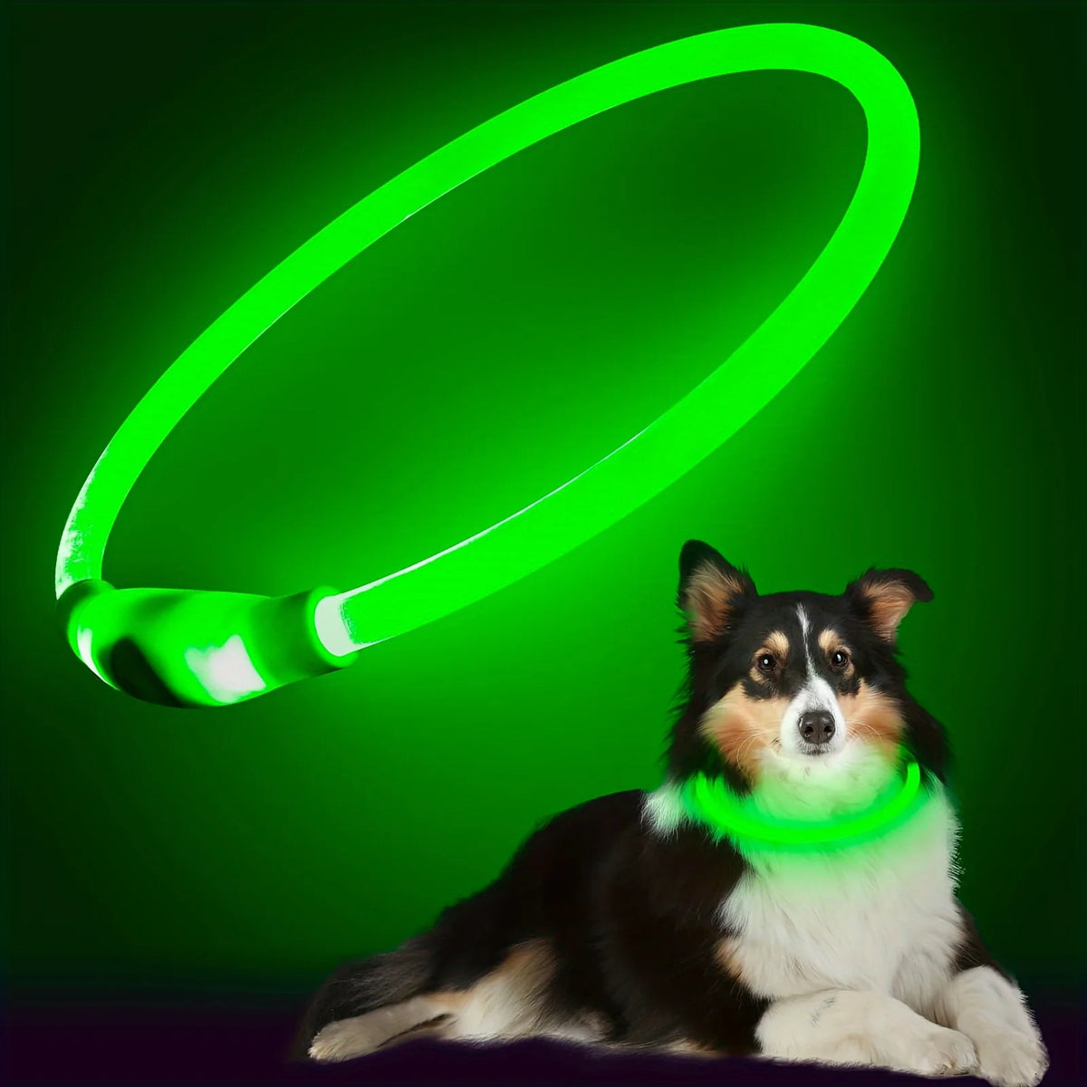 Collar luminoso LED recargable