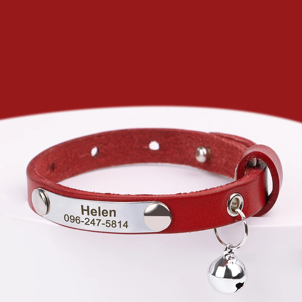 Collar de gato con nombre grabado