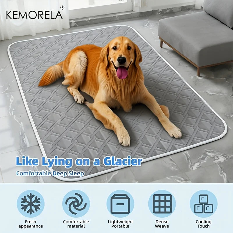 Empapador lavable y reutilizable para perros