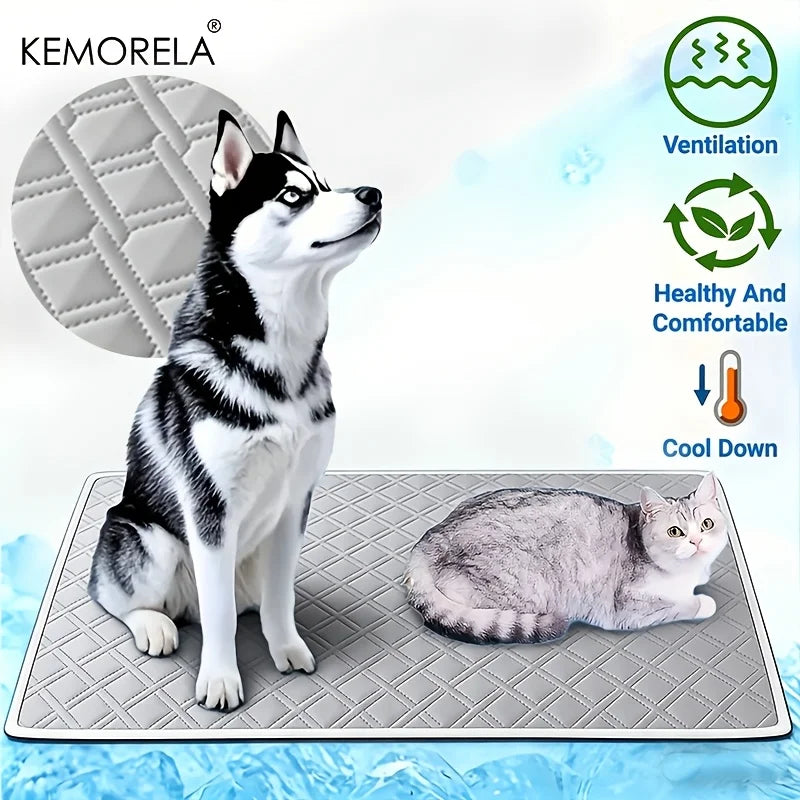 Empapador lavable y reutilizable para perros