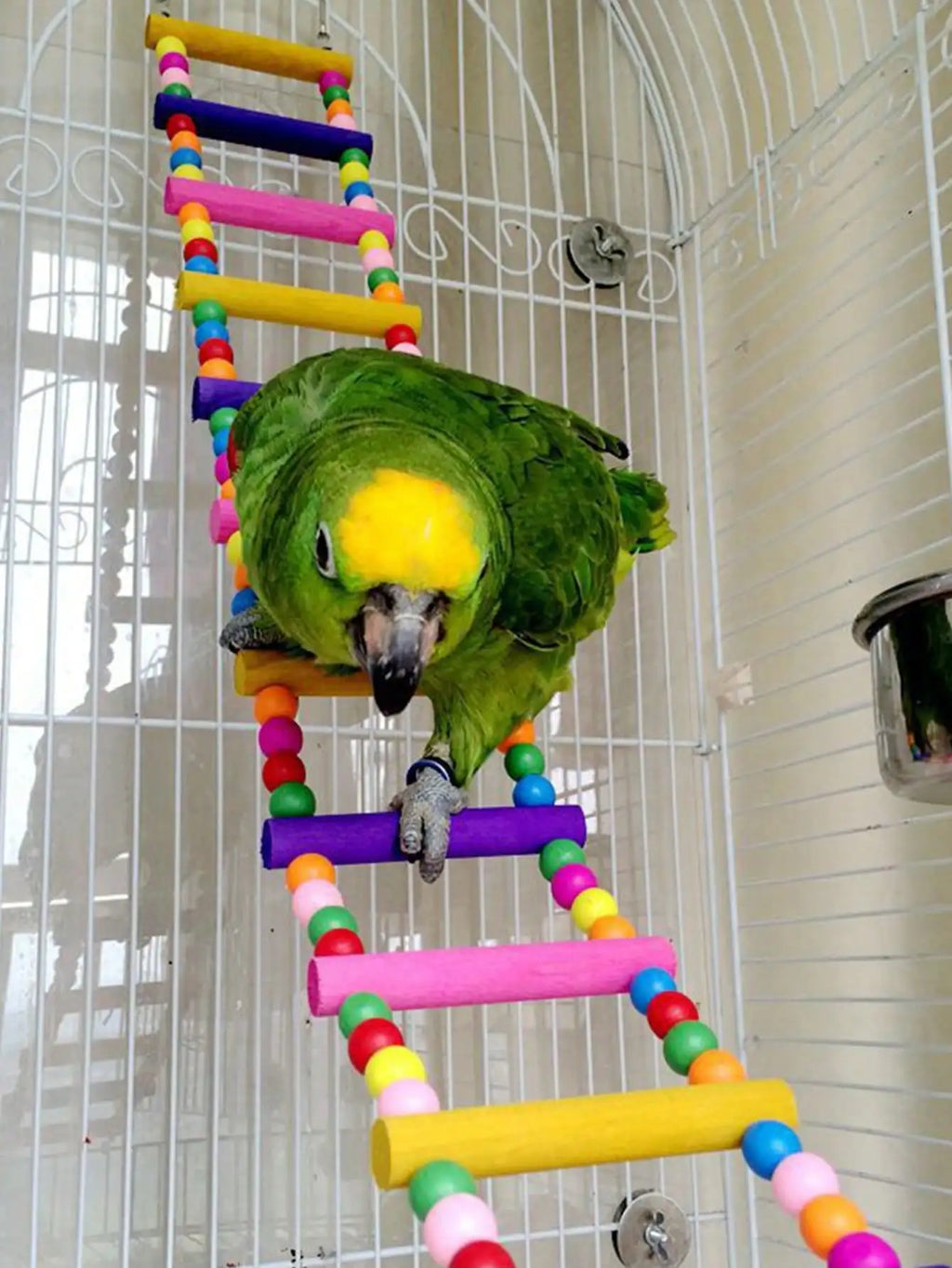 Escalera y columpio de madera para pájaros