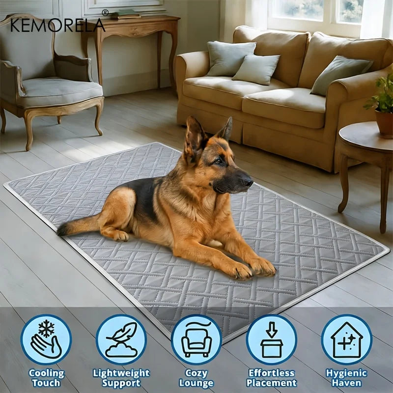 Empapador lavable y reutilizable para perros