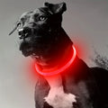 Collar luminoso LED recargable