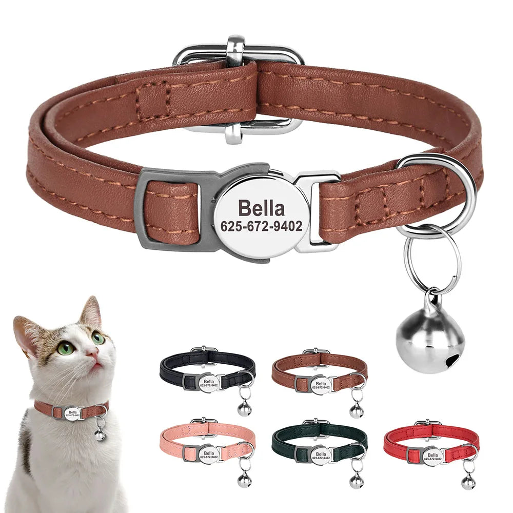 Collar de gato personalizado con nombre