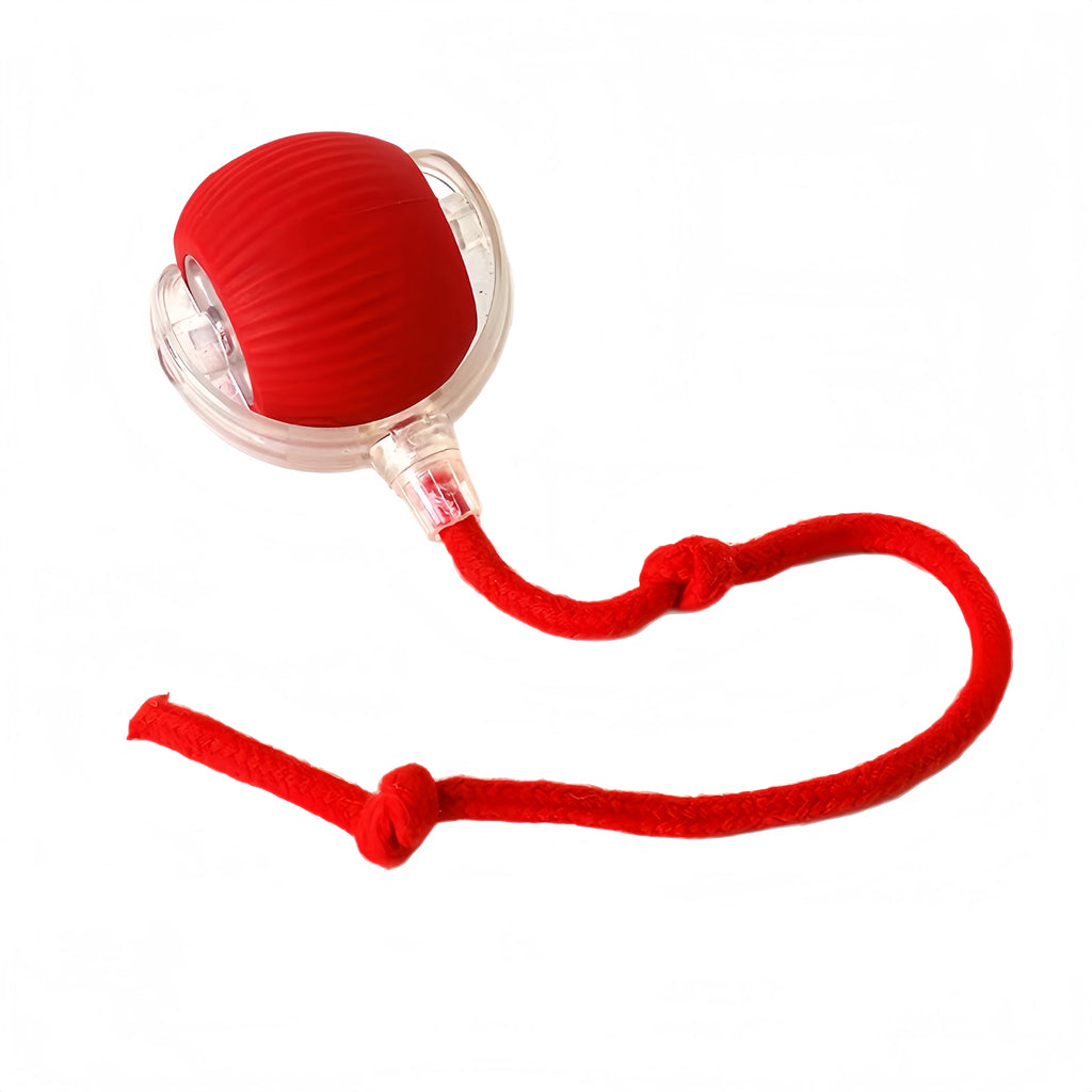 Pelota automática que se mueve sola