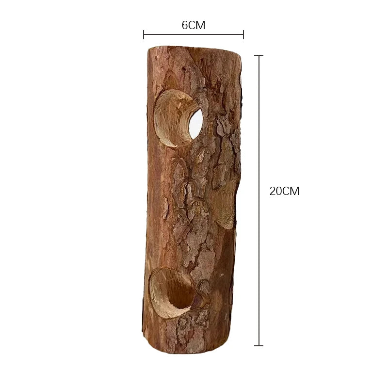 Túnel tronco de madera natural