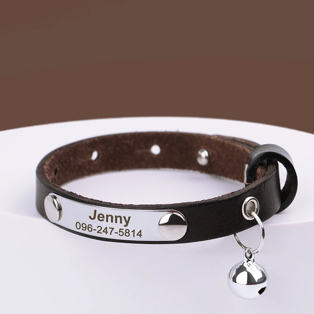 Collar de gato con nombre grabado
