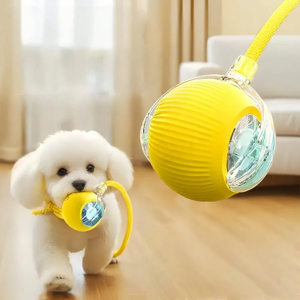 Pelota automática que se mueve sola