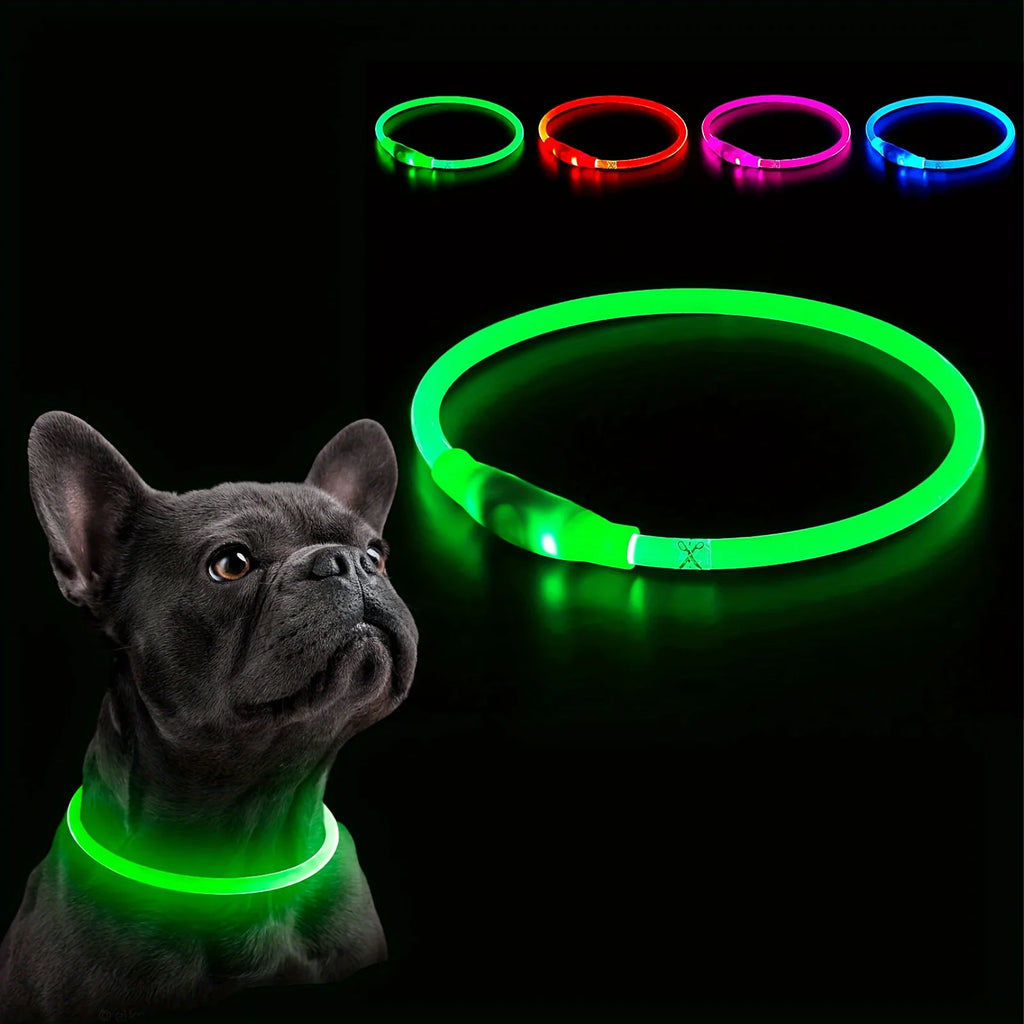 Collar luminoso LED recargable