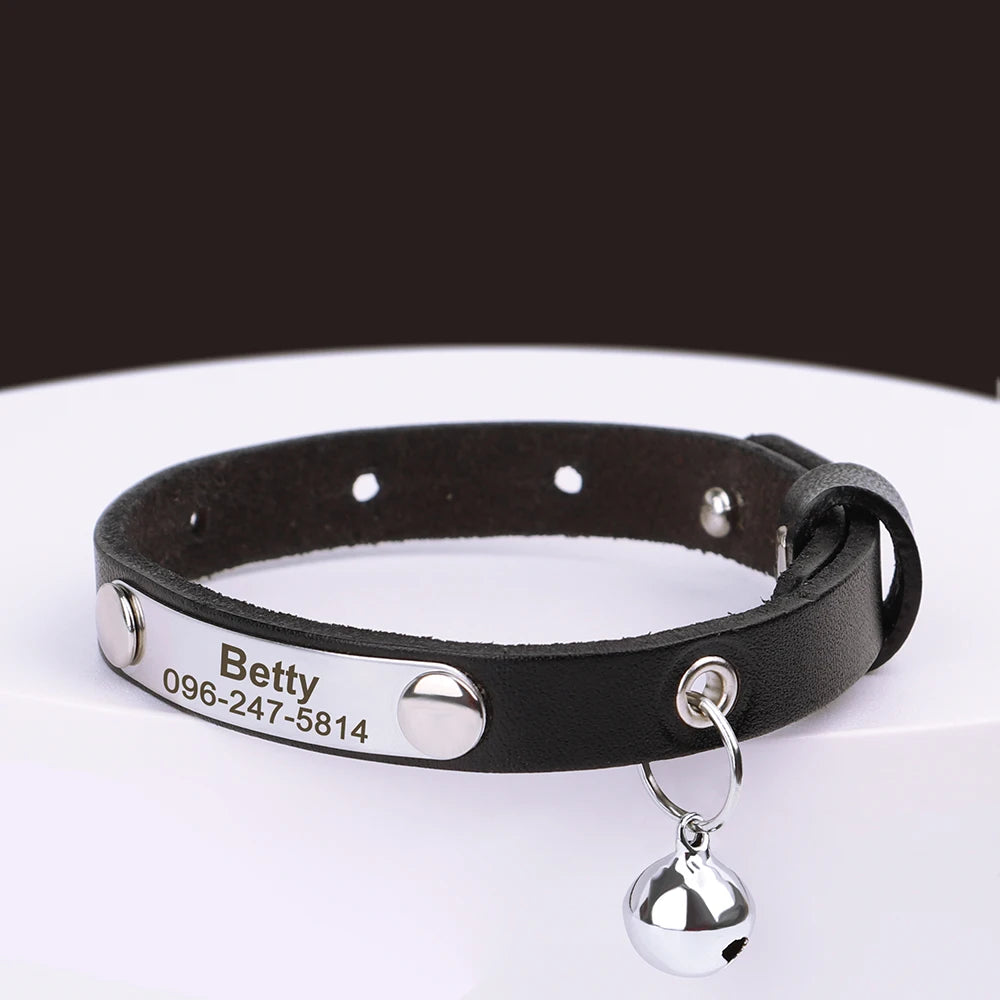 Collar de gato con nombre grabado