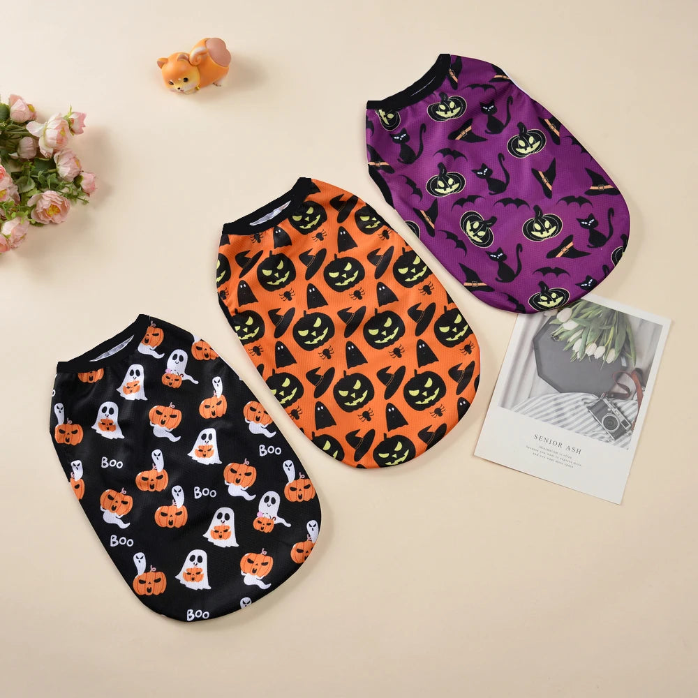 Disfraz de Halloween de calabaza