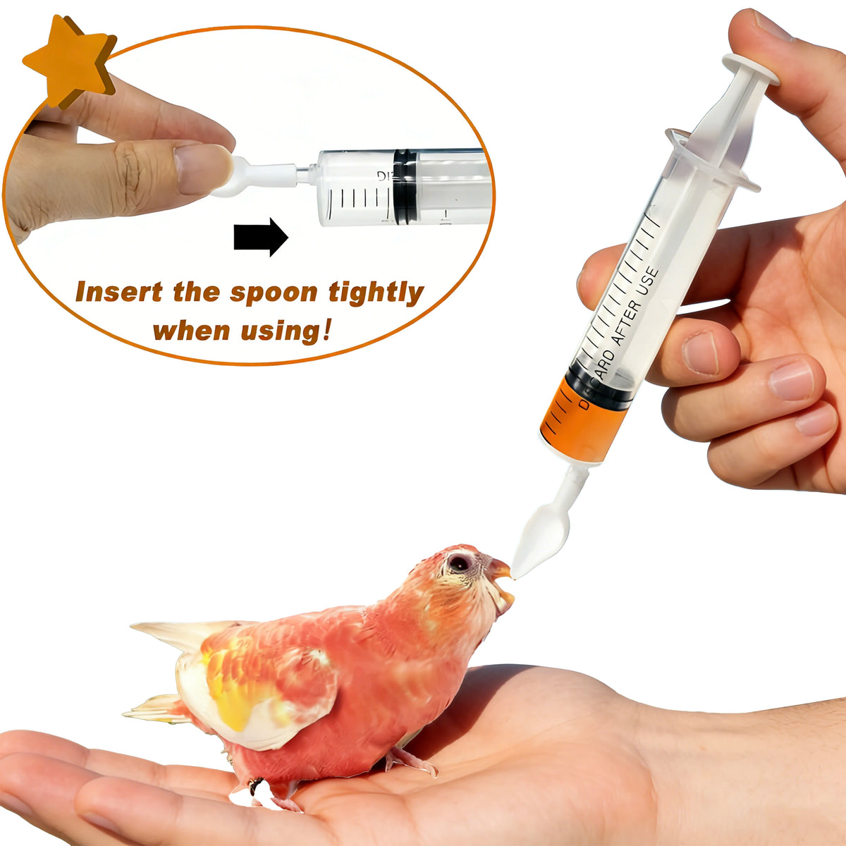 Kit de alimentación a mano para aves