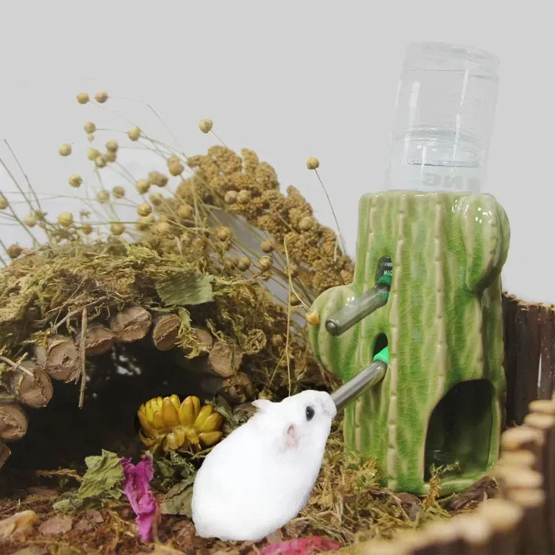 Casita cactus de cerámica y accesorios