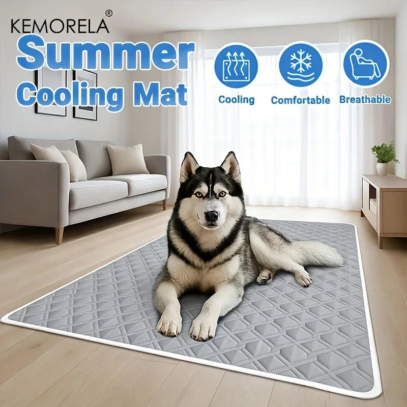 Empapador lavable y reutilizable para perros