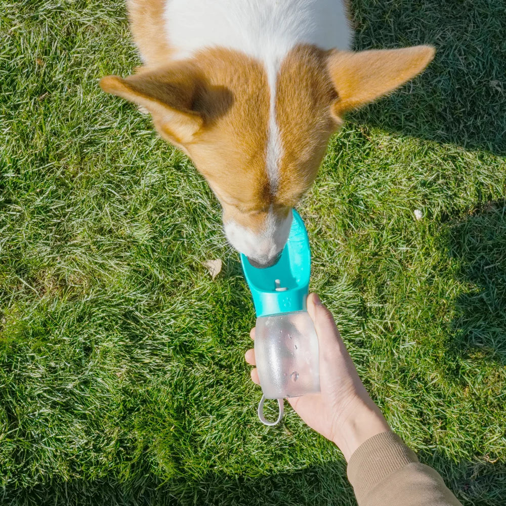 Botella de agua portátil 300 ml para perros
